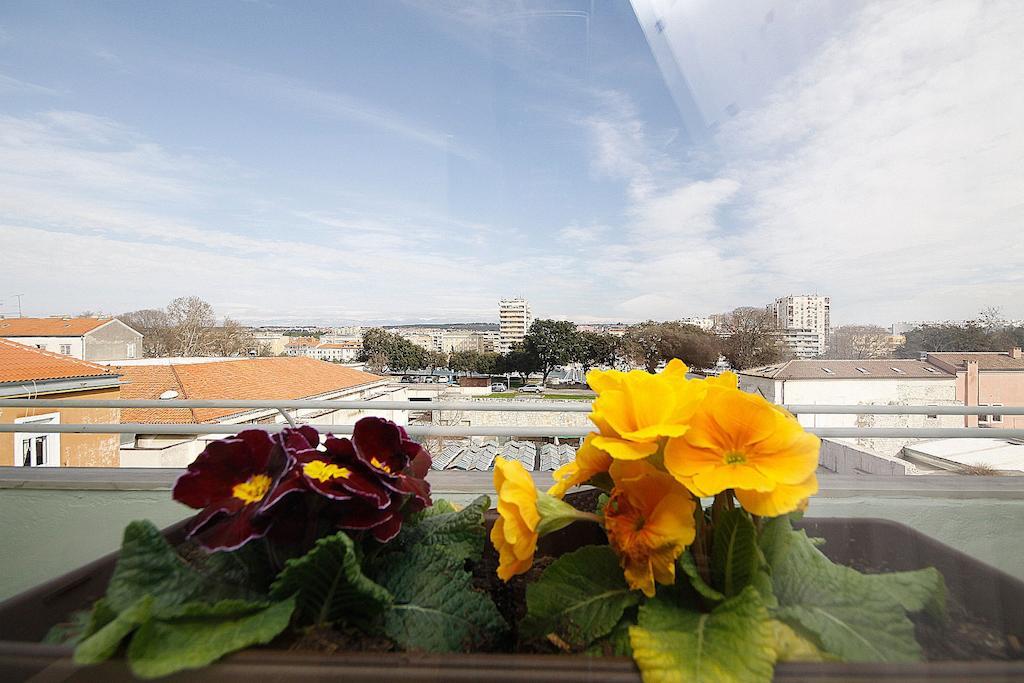 City Center Accommodation ザダル 部屋 写真